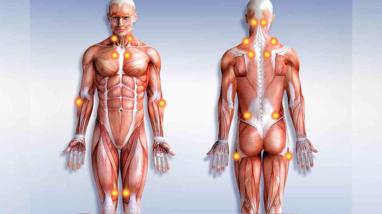 https://www.mersinagriterapi.com/wp-content/uploads/2025/12/fibromiyalji.jpg